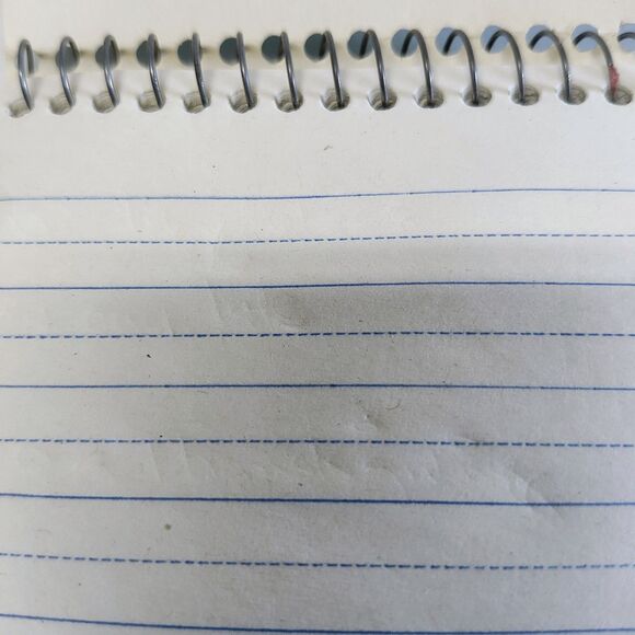 Reporter's Notebook 4" x 8" Earthwise by Ampad Recycled - Picture 4 of 7